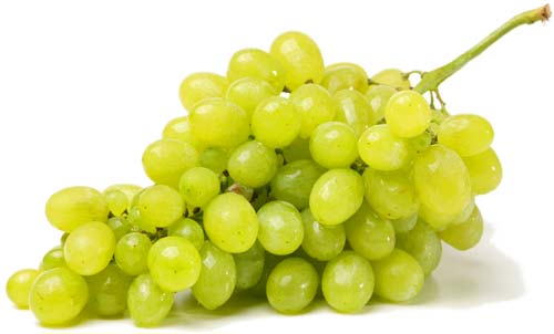 Bio-Kosmetik aus Traubenkernen    © Pixapay.com