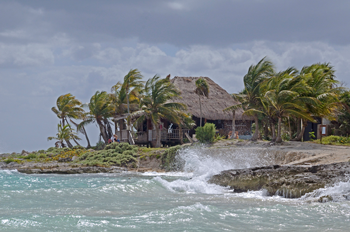 © David Rosen_flickr
