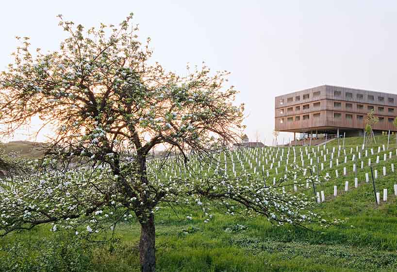 © Loisium Wine & Spa Resorts