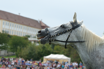 © SKB / Jutta Kirchner