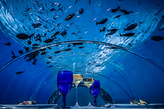 © Hurawalhi Island Resort