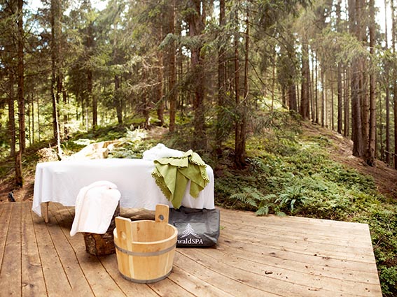 © Hotel Forsthofgut